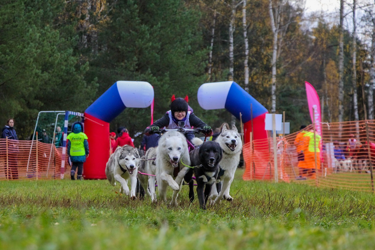 Ленинградские каюры выиграли гонки на собаках