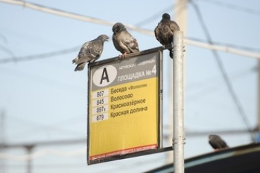 Для удобства пассажиров