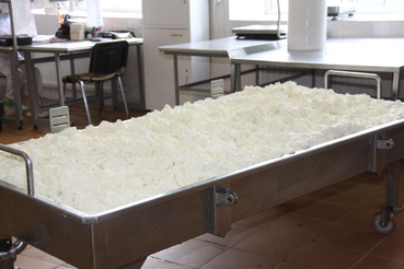НАЦПРОЕКТЫ: мясо и творог высокой производительности
