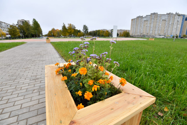 Велодорожки, пирсы, пляж и арт-объекты: в Киришах открылся новый парк.