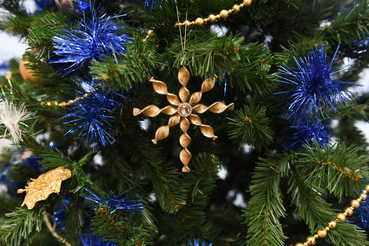 Область встречает Новый год музыкально и интерактивно