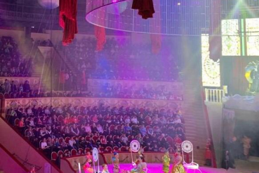 Новогоднее волшебство для юных зрителей