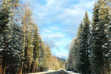 Дальше – чище: в области убрали 1060 свалок