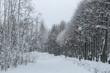 Снег — по стандарту