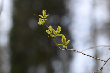 В области убрали более 100 тысяч кубометров свалок
