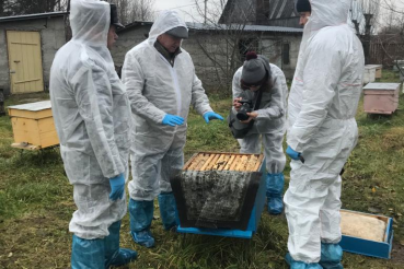 Пчеловоды получают поддержку