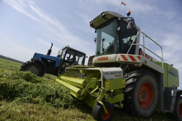 Всероссийский день поля – в области
