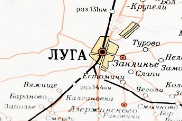 На связи – бизнесмены из Луги