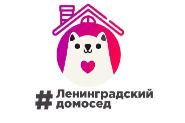 #Ленинградскийдомосед – интересная неделя для ленинградцев