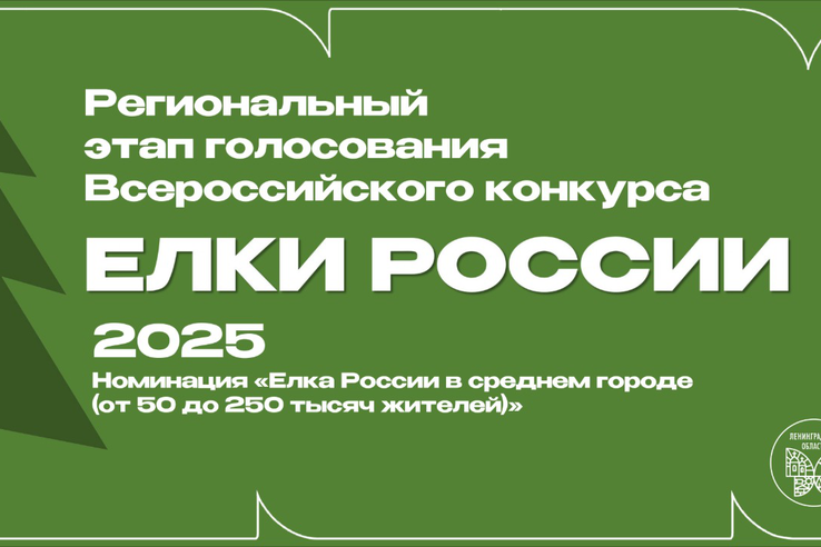 Ленобласть выбирает самую красивую новогоднюю ёлку