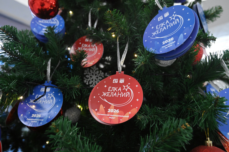 Александр Дрозденко поблагодарил всех, кто участвует в Ленинградской «Елке желаний»