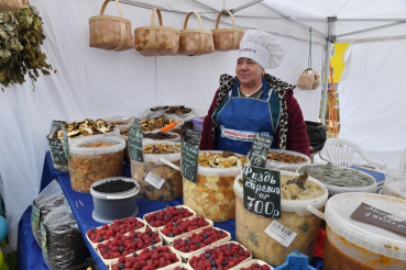 Мораторий по микрозаймам — пострадавшему бизнесу