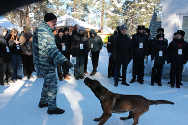 250 школьников Ленобласти познакомились с профессиями тех, кто стоит на страже ленинградцев