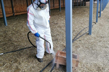 Областные ветеринары помогут с дезинфекцией