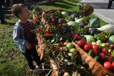 Регион сбалансированного развития села