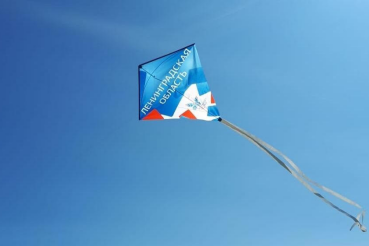 Регион запустил «цифровых» змеев