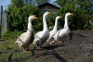 В новом туристическом сезоне ― тренд на здоровый образ жизни