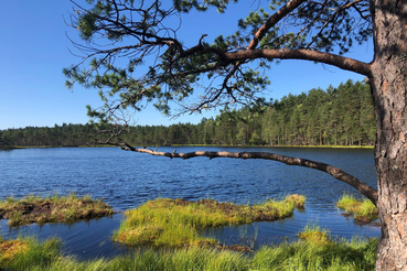 Ленинградская область открыта туристам со всей России