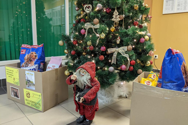 Ленинградцы собирают подарки для четвероногих