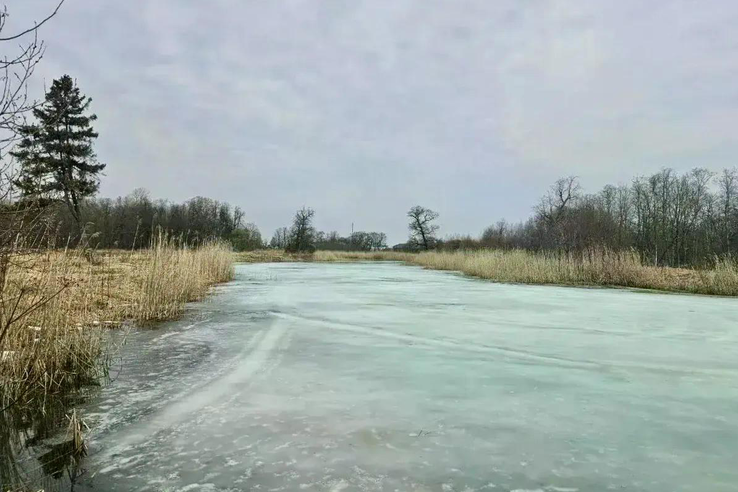 Парк бывшей усадьбы Ганнибалов в Суйде перейдет в собственность Ленобласти