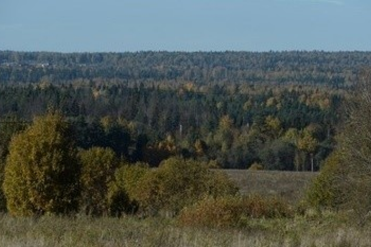 Ленинградская область внедряет раздельный сбор мусора