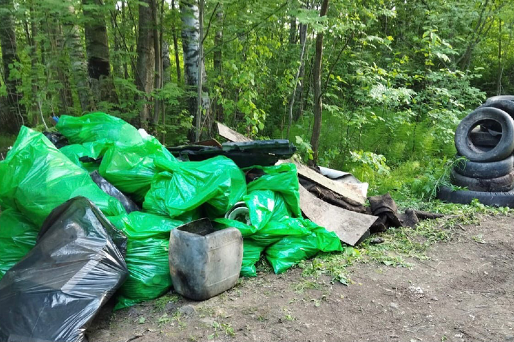 Эко-квест объединил ленинградцев