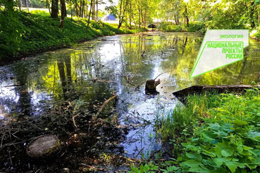 НАЦПРОЕКТЫ: область начинает второй этап расчистки водоемов Гатчины