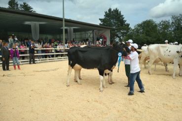 Агропрому России презентовали племенное животноводство  