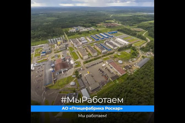 Ленинградская область присоединилась к Всероссийской акции #МыРаботаем