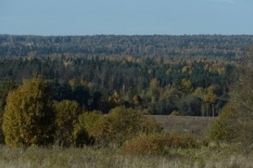 Ленинградская область внедряет раздельный сбор мусора