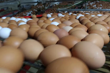 И с мясом, и с яйцом