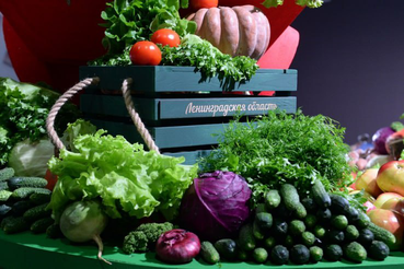 АПК Ленинградской области увеличивает производство