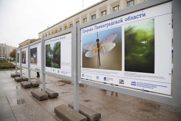 Природа Ленинградской области в мегаполисе