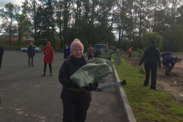 Дипломаты посадили деревья в Гатчине