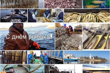 Область встречает День рыбака хорошими уловами