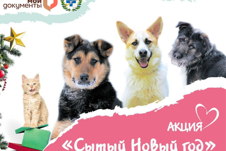 В Ленобласти началась акция «Сытый Новый год»!